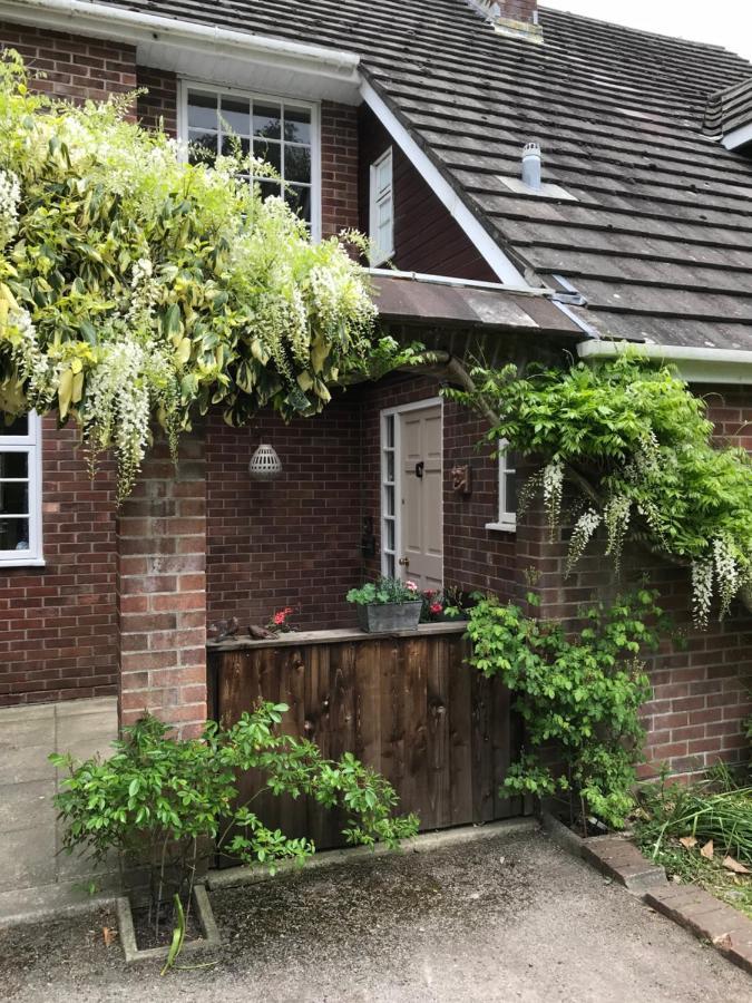High Mead Bed & Breakfast Woodsford Exterior foto
